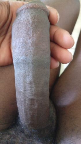 Gatas das Capital Acompanhante de Brasília 