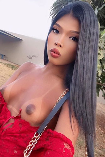 Profissionais do sexo Acompanhante de Brasília 