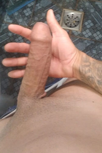 Gatas das Capital Acompanhante de Brasília 