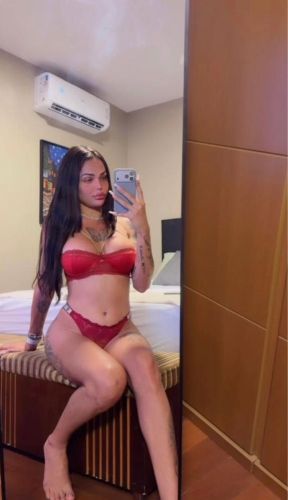 Gatas das Capital Acompanhante de Brasília 